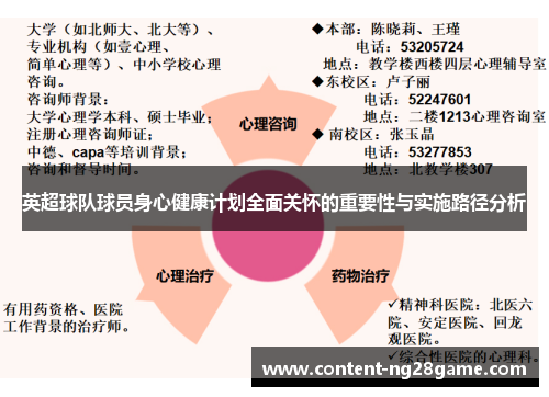 英超球队球员身心健康计划全面关怀的重要性与实施路径分析