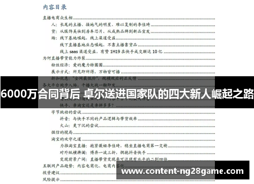 6000万合同背后 卓尔送进国家队的四大新人崛起之路