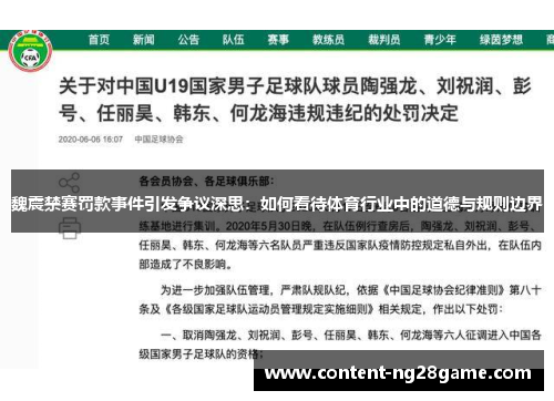 魏震禁赛罚款事件引发争议深思：如何看待体育行业中的道德与规则边界